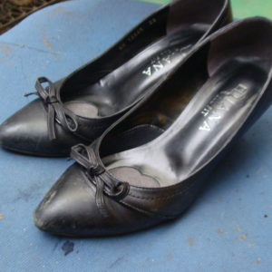 DIANA　婦人パンプス　靴磨きのサムネイル